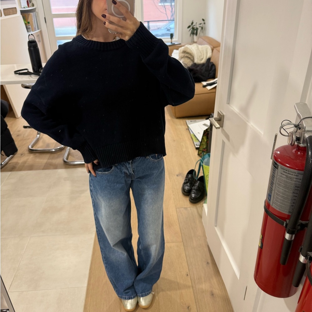 Classic Quince 100% Organic Cotton Boyfriend Crew Sweater!